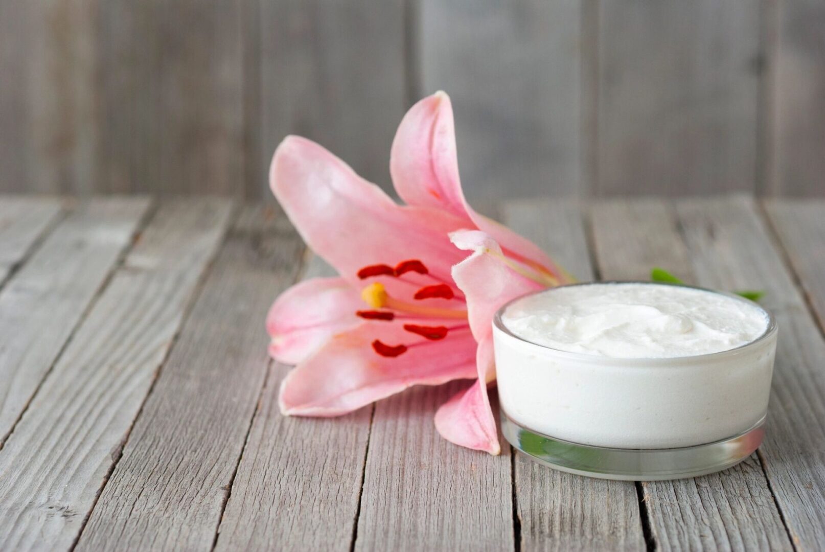 A pink flower and a bowl of cream on top of a table.